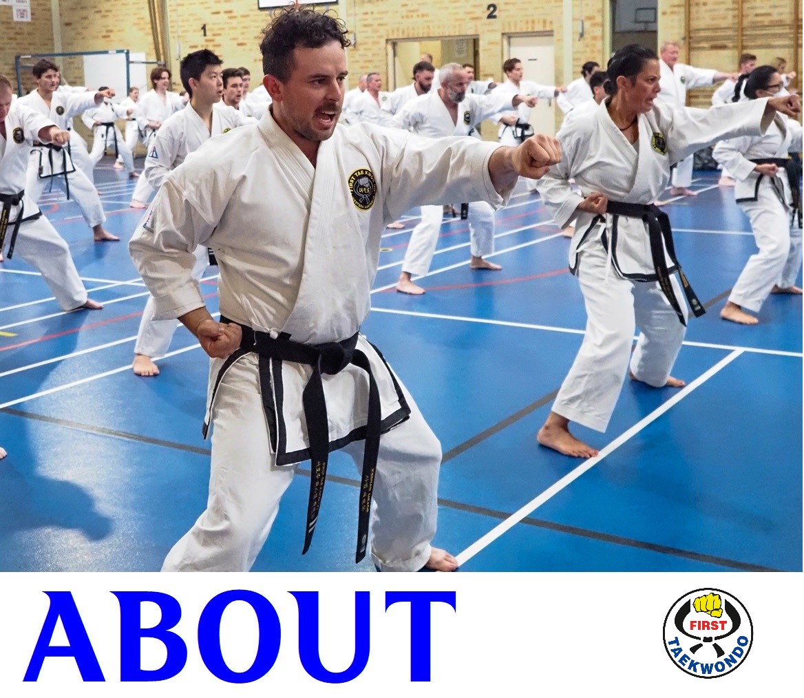 First TaeKwonDo WA ABOUT 2logo
